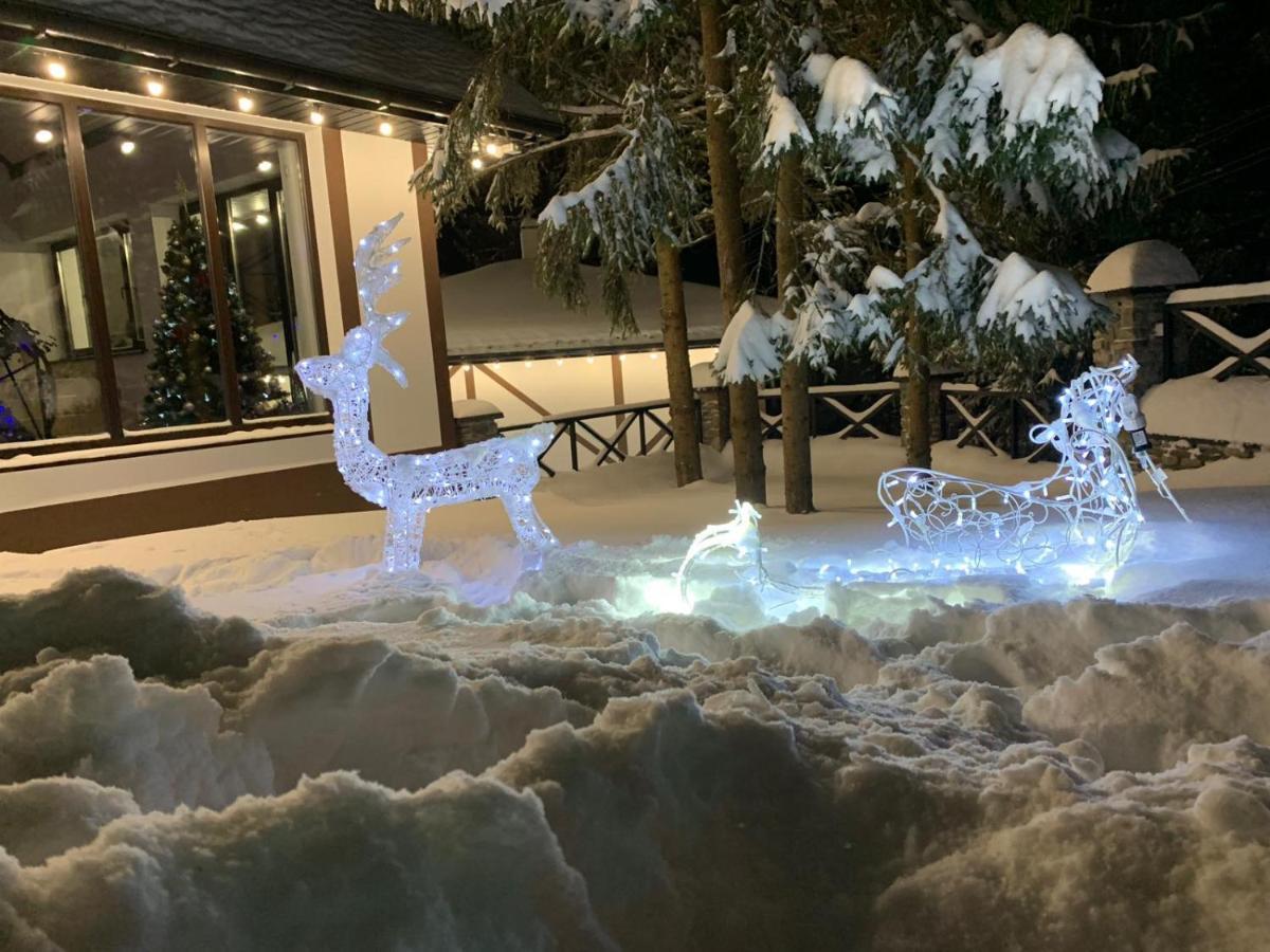 Skhidnytsia Феєрія Лісу 아파트 호텔 외부 사진